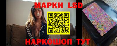 шишки Можайск