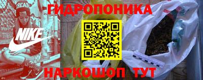 шишки Можайск