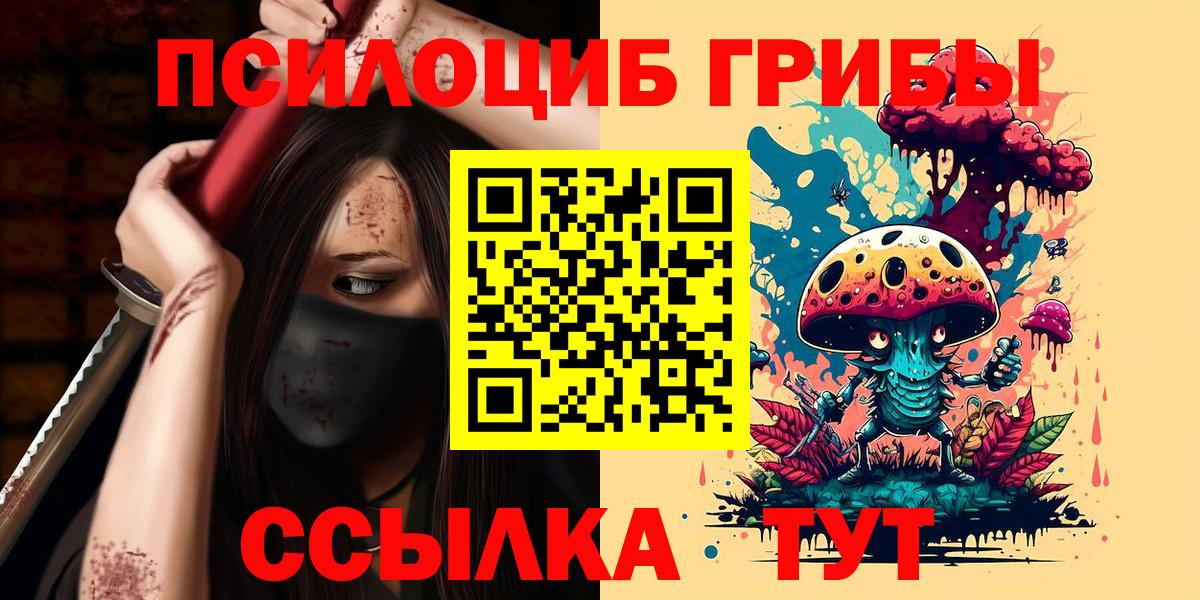 Псилоцибиновые грибы Psilocybine cubensis Верхний Уфалей